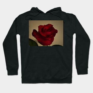 Red rose Hoodie